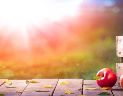 Manzanas de mil maneras