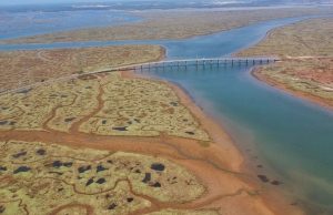 Marismas Revista Selecciones