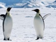 Más allá de lo imaginable