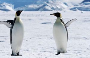 Más allá de lo imaginable Revista Selecciones