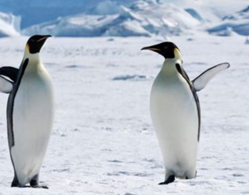 Más allá de lo imaginable