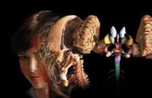 Mejorá tu memoria Revista Selecciones