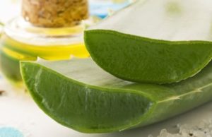 Para quemaduras, Aloe Vera para-quemaduras-aloe-vera-3536-mainImage-0