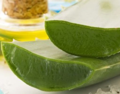 Para quemaduras, Aloe Vera para-quemaduras-aloe-vera-3536-mainImage-0