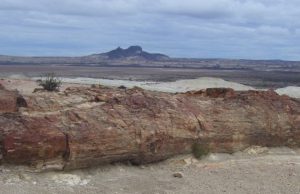 Parque Nacional Bosques Petrificados de Jaramillo Revista Selecciones