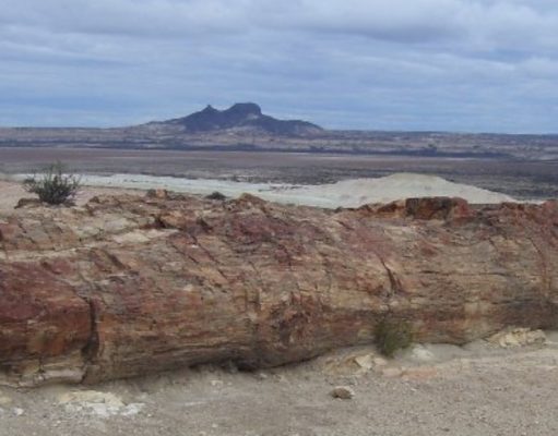 Parque Nacional Bosques Petrificados de Jaramillo