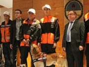 Perros y humanos, esperanza ante el desastre