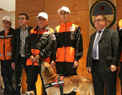 Perros y humanos, esperanza ante el desastre