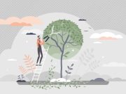 Podar un árbol sin lastimarlo