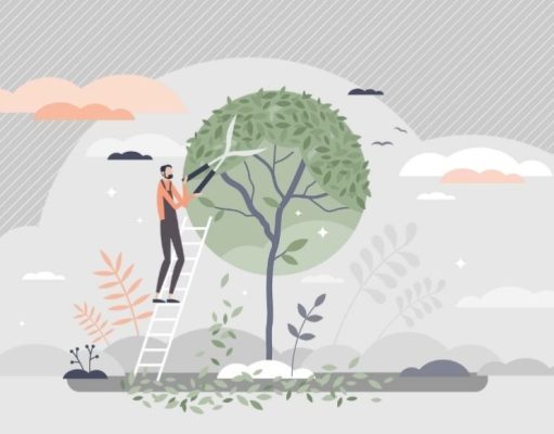 Podar un árbol sin lastimarlo