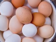 ¿Por qué hay diferentes colores de huevos?