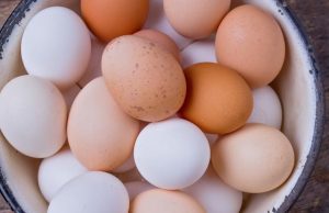 ¿Por qué hay diferentes colores de huevos? Revista Selecciones