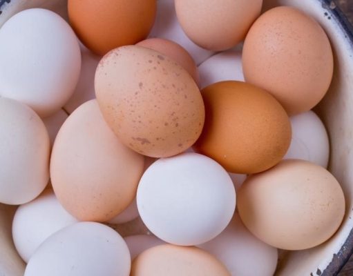 ¿Por qué hay diferentes colores de huevos?