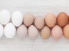 ¿Por qué hay varios colores de huevos de aves? Revista Selecciones