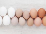 ¿Por qué hay varios colores de huevos de aves?