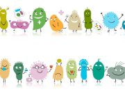 ¿Por qué son buenas las bacterias?