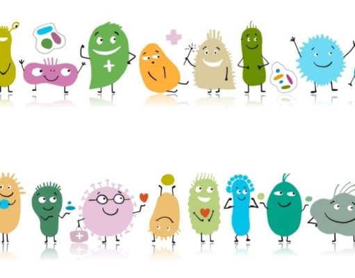 ¿Por qué son buenas las bacterias?