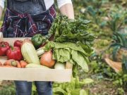 ¿Qué comemos entonces?