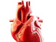¿Qué es y cómo enfrentar la fibrilación auricular?