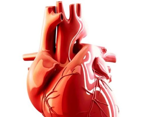 ¿Qué es y cómo enfrentar la fibrilación auricular?