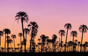 Reservas ciudadanas Revista Selecciones