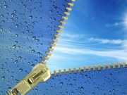 ¿Sabías que ellos están sembrando agua?