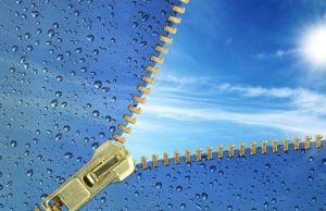 ¿Sabías que ellos están sembrando agua? Revista Selecciones