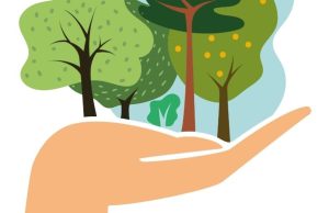 Salvar el bosque Revista Selecciones