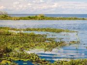 Sergio Elguezábal escribe: la historia de Douglas Tomkins