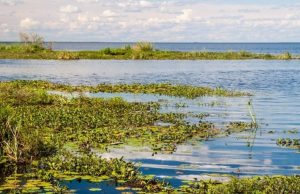 Sergio Elguezábal escribe: la historia de Douglas Tomkins Revista Selecciones