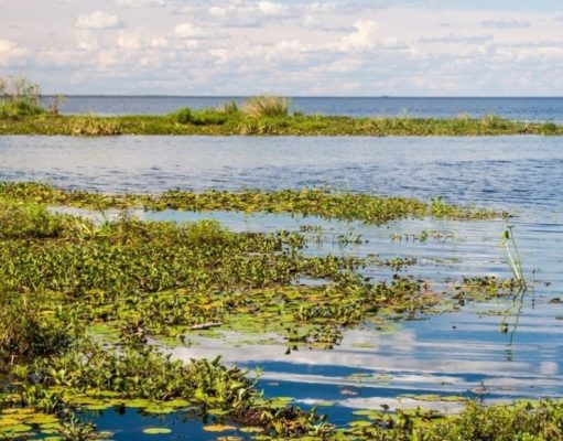 Sergio Elguezábal escribe: la historia de Douglas Tomkins