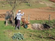 Sistemas autosustentables: vivir mejor es posible