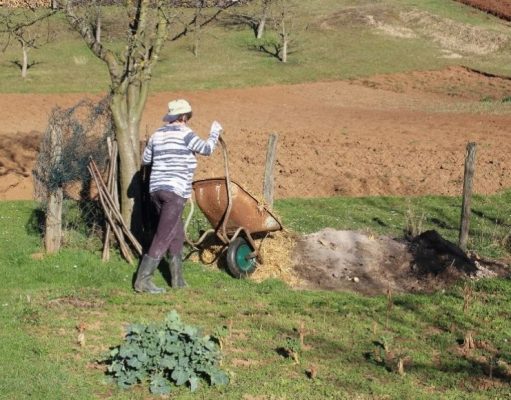 Sistemas autosustentables: vivir mejor es posible
