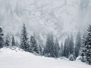 Sobrevivir a la montaña