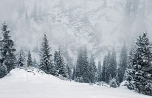 Sobrevivir a la montaña Revista Selecciones