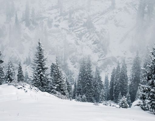 Sobrevivir a la montaña