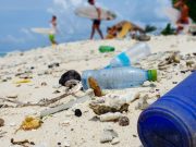 Surfistas en campaña