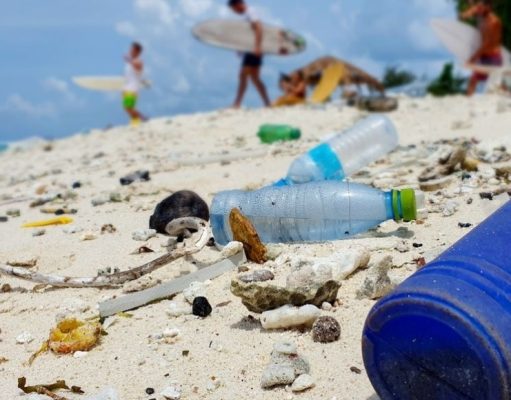 Surfistas en campaña