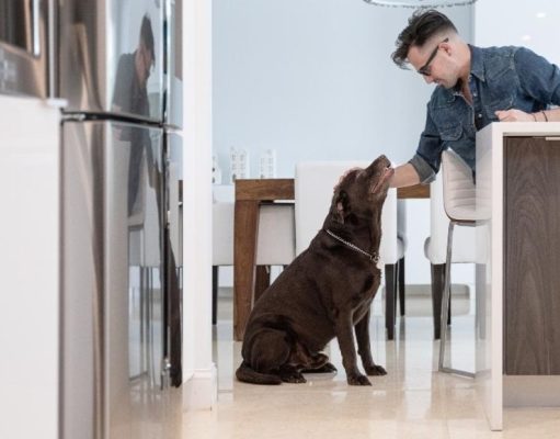 Terminá con los malos hábitos de tu mascota