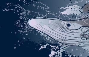 Todo por las ballenas Revista Selecciones