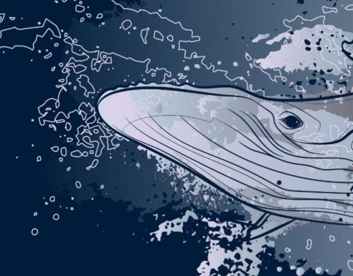 Todo por las ballenas