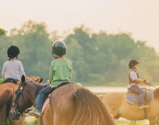 Jóvenes conflictivos: tomando las riendas