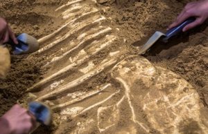 Tras las huellas del pasado Revista Selecciones