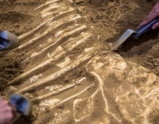 Tras las huellas del pasado