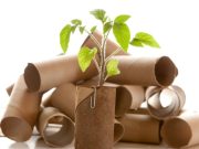 La era del reciclado: cómo reutilizar cartón