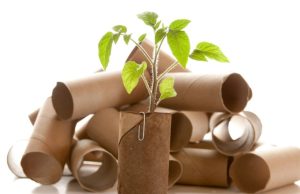 La era del reciclado: cómo reutilizar cartón Revista Selecciones