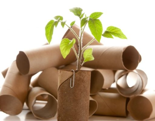 La era del reciclado: cómo reutilizar cartón