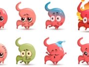 Un día en tu aparato digestivo Revista Selecciones