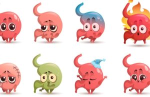 Un día en tu aparato digestivo Revista Selecciones