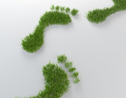 Baldosas ecológicas: un paso a la vez